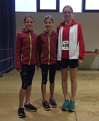 Abendlauf Westenholz 2017